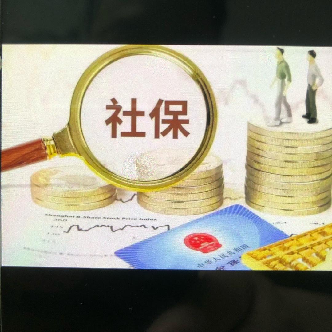 社保规划杨老师