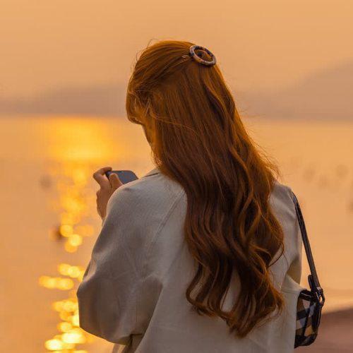 尧水烤鸡背