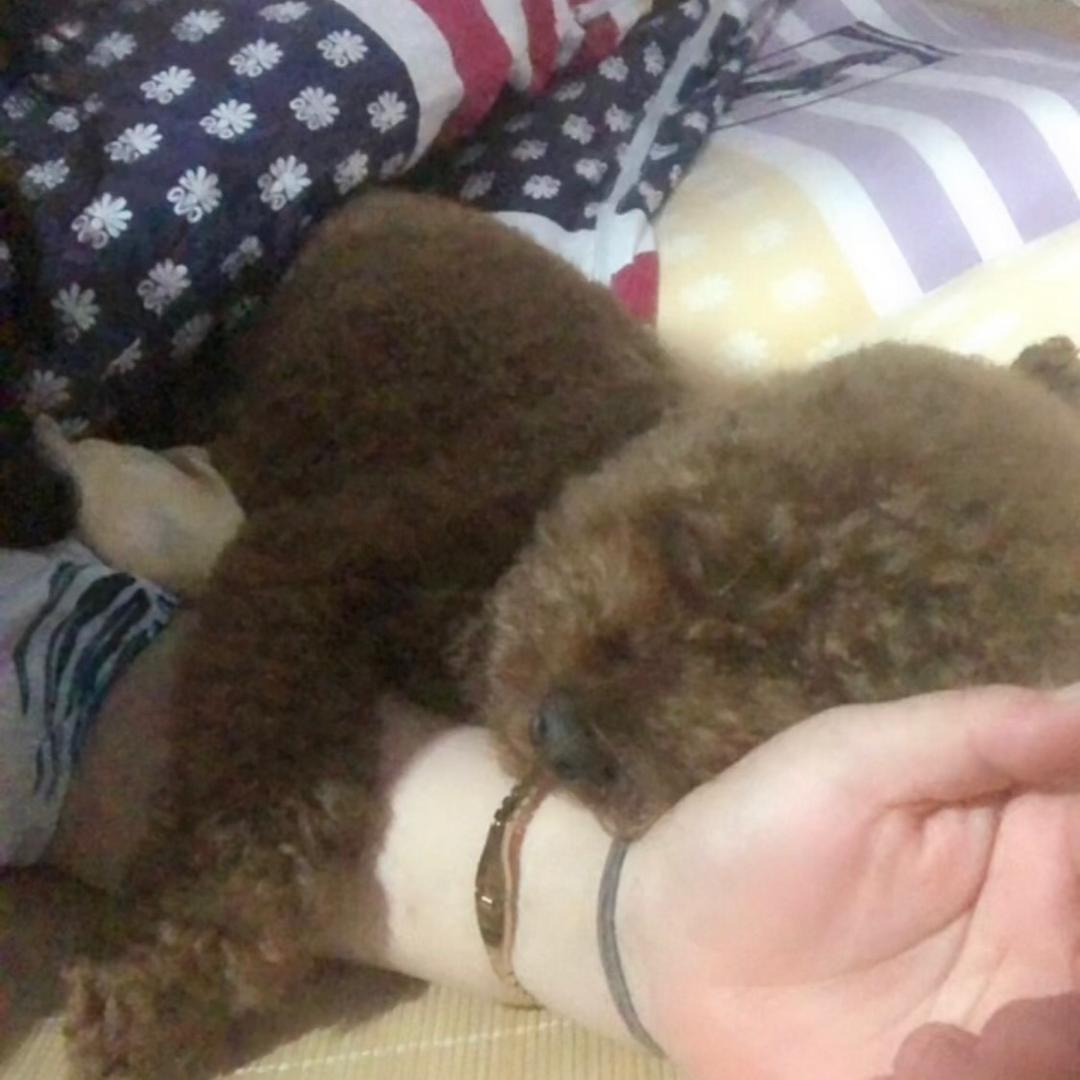 三月🎖