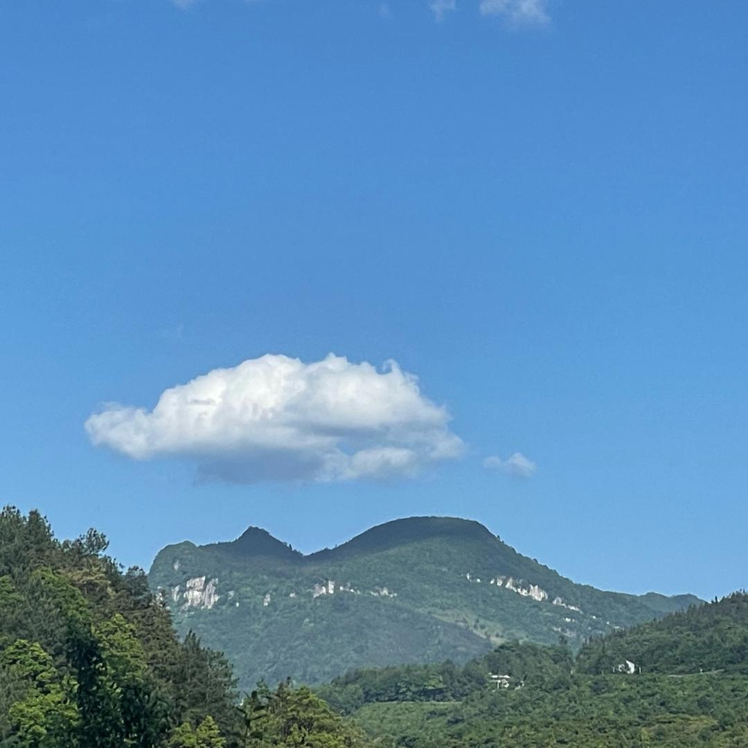 螔瘗（故事）