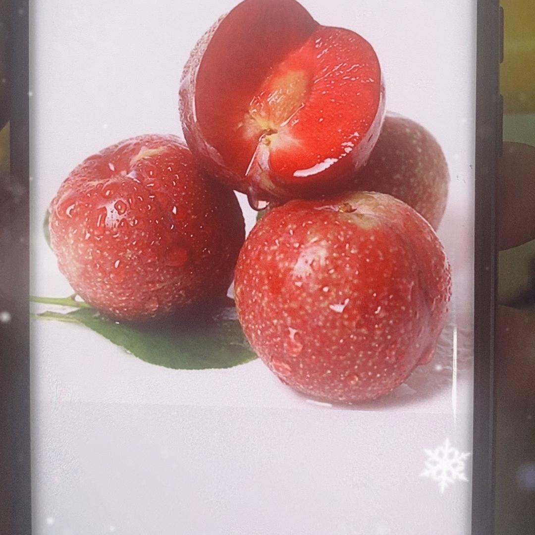 香百园水果商行