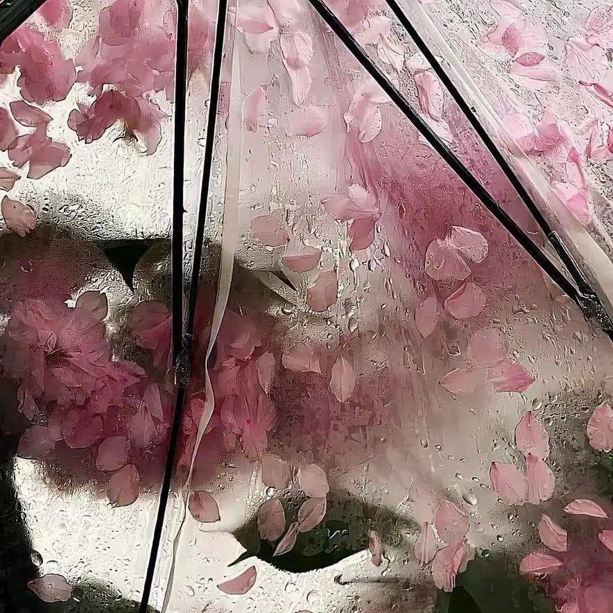 上玄一