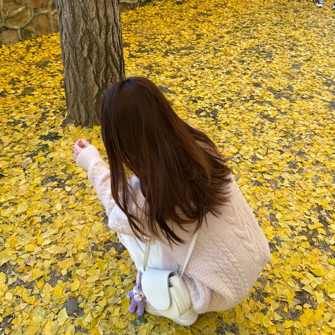 小周的朋友圈