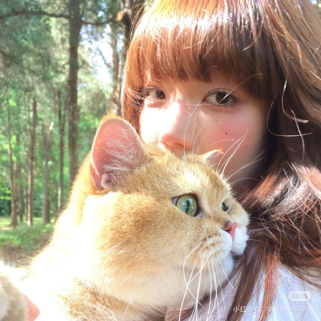 长医小静