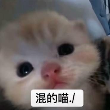 小烤鱼