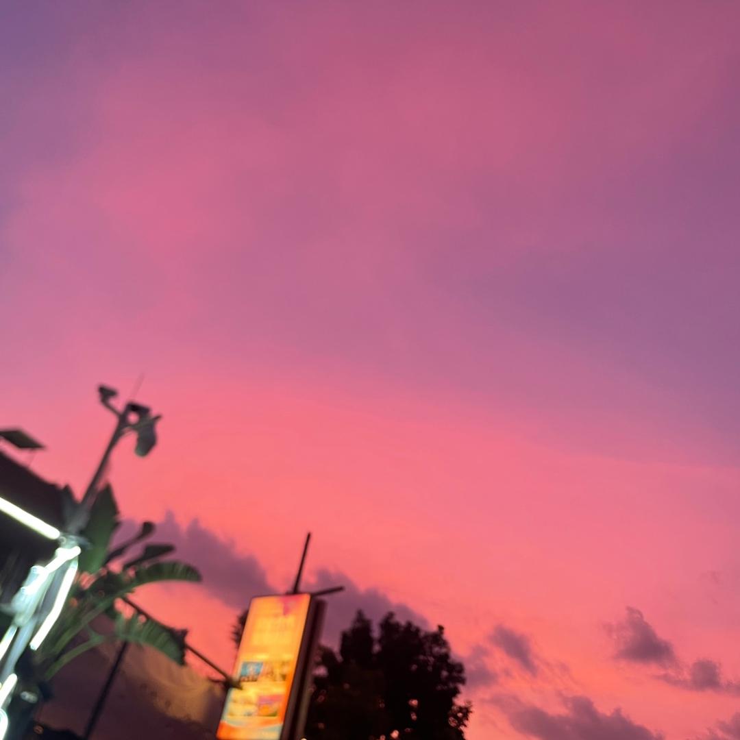 蝶儿🦋