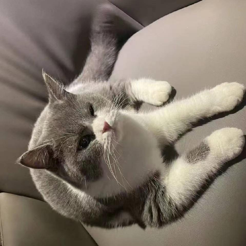 遥远的梦