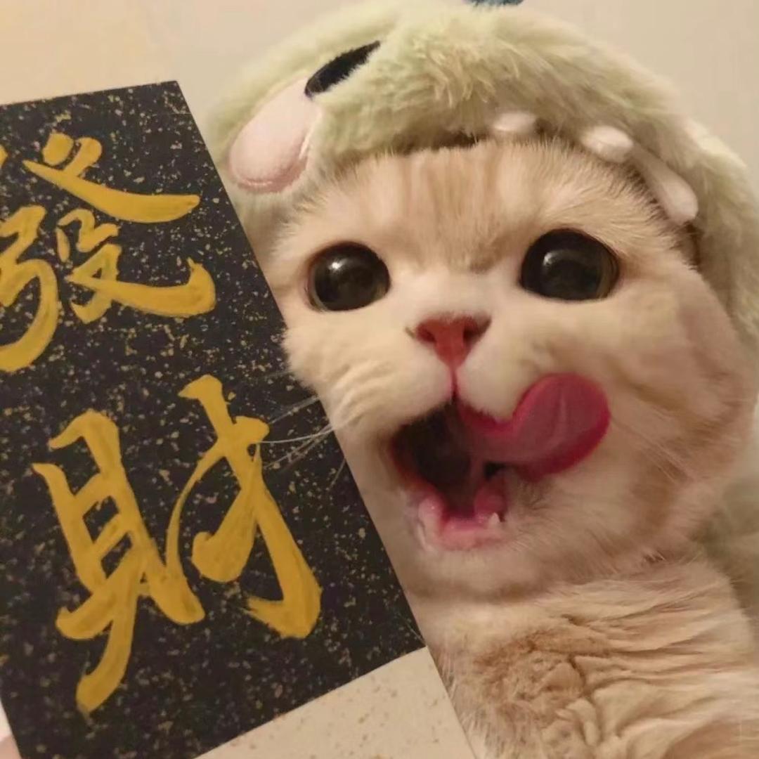 日照猫