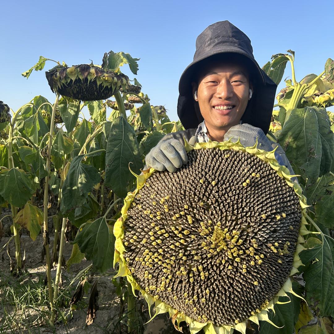 葵叔叔专注炒货