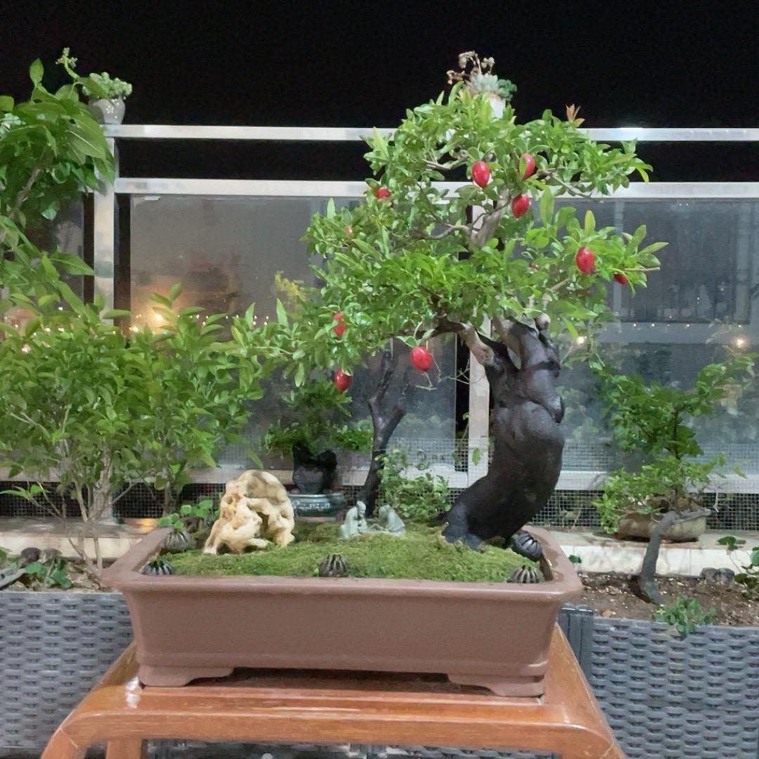 优雅人、