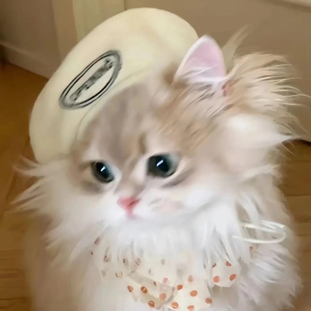 不糖的甜