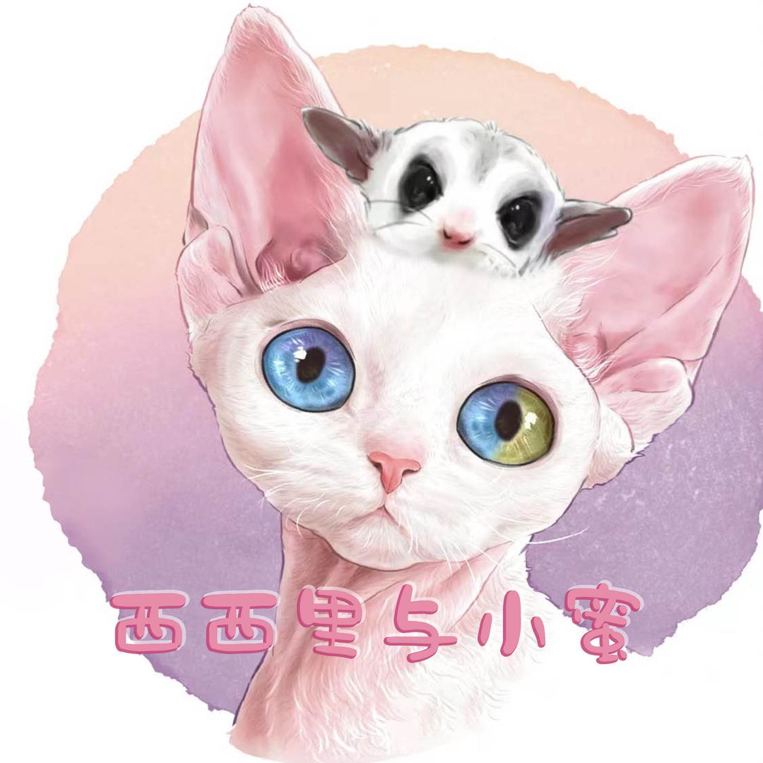 西西里与小蜜的店