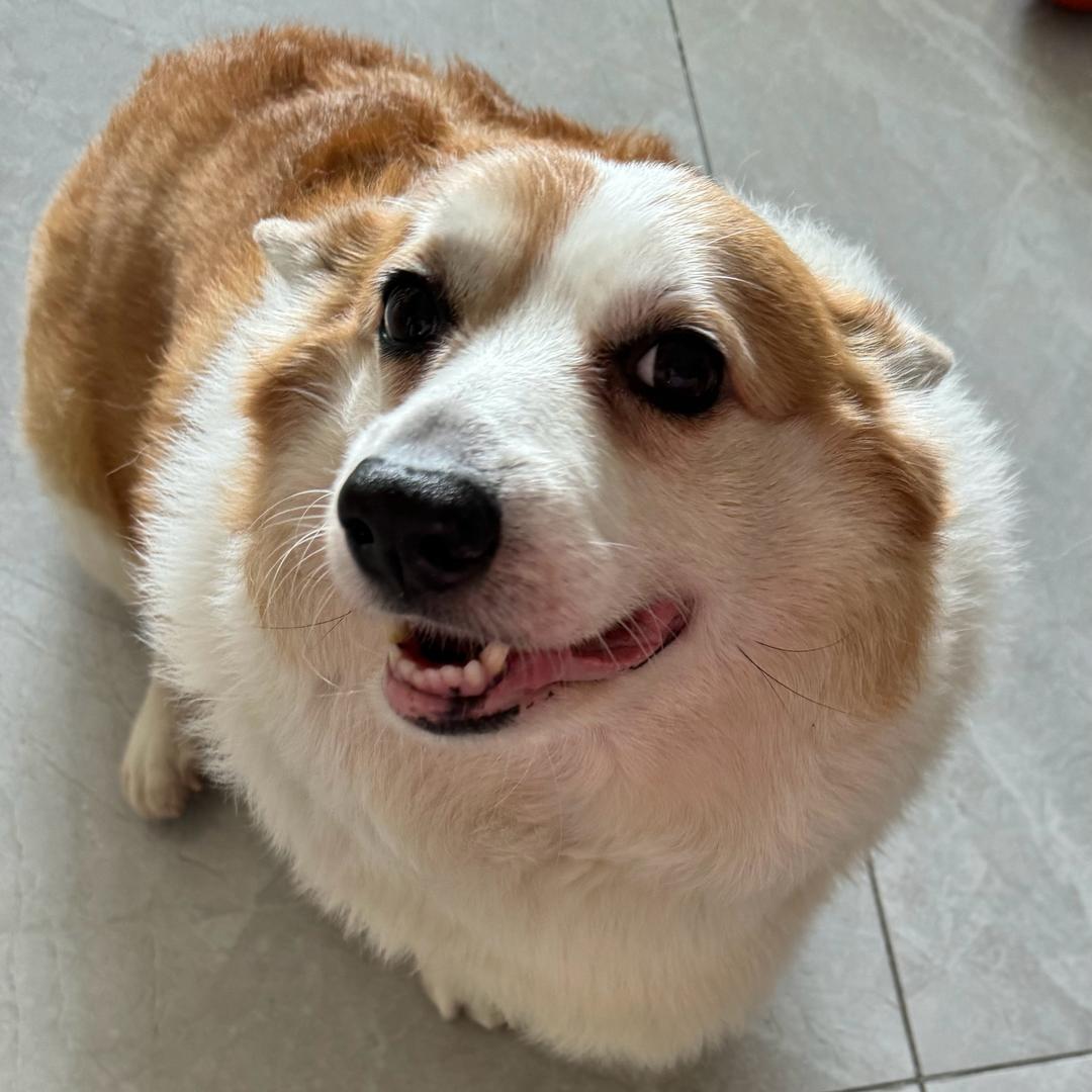 百惠