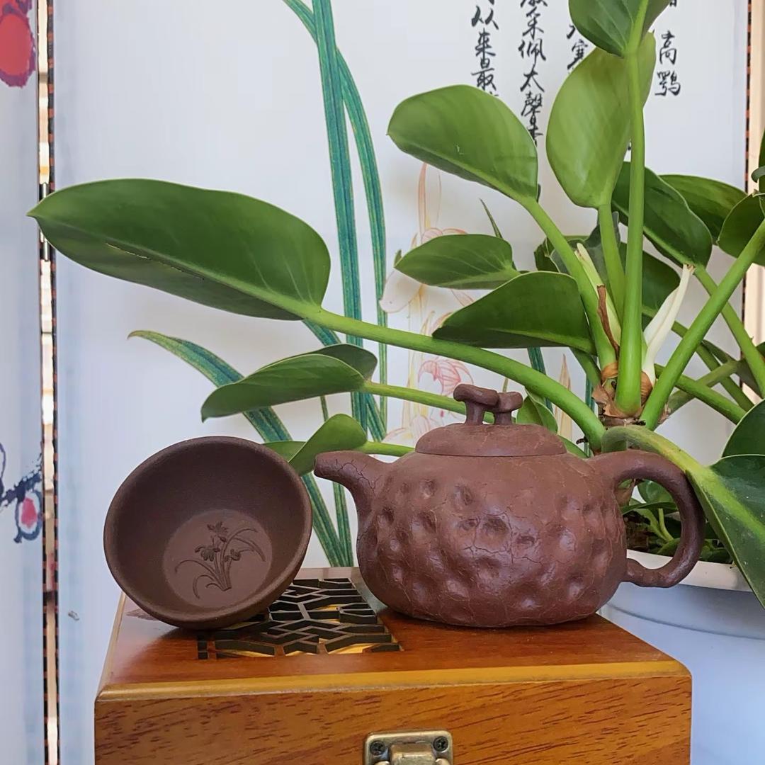 喀左仁泽紫砂