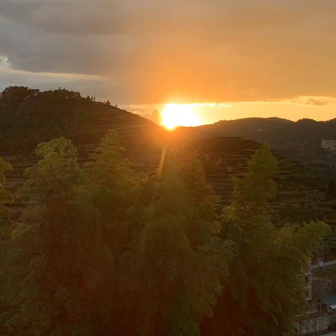 小燕子