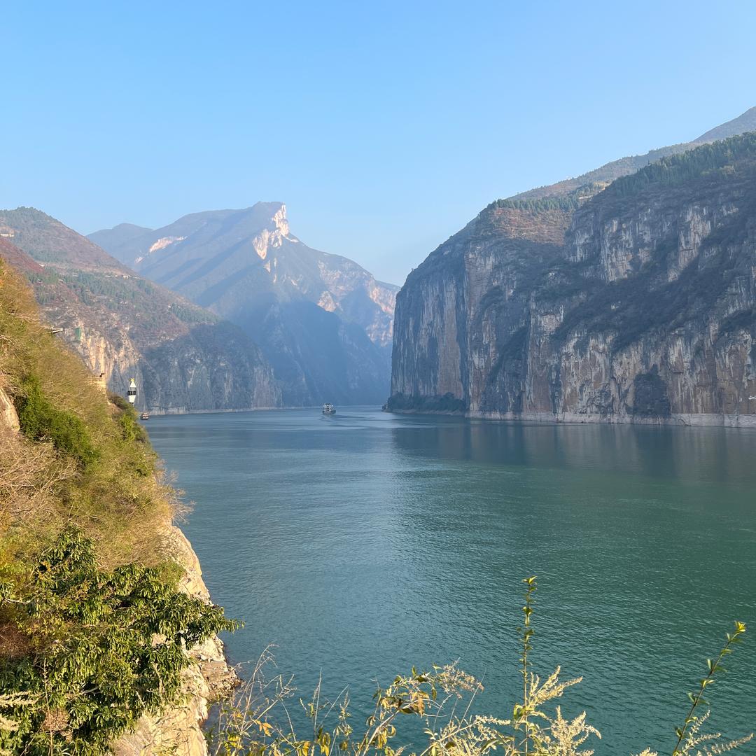 悦悦果园
