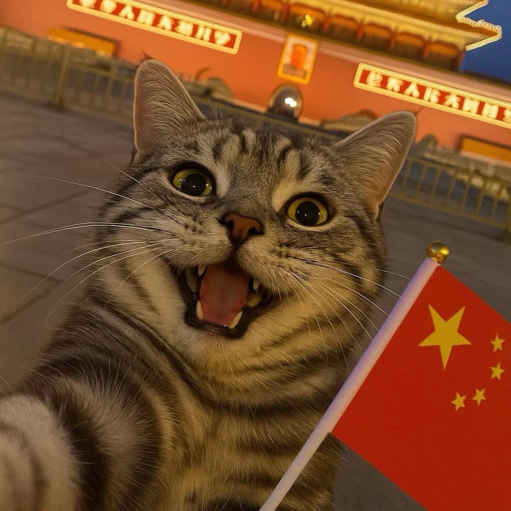 ゞ北漂之奋斗的石头