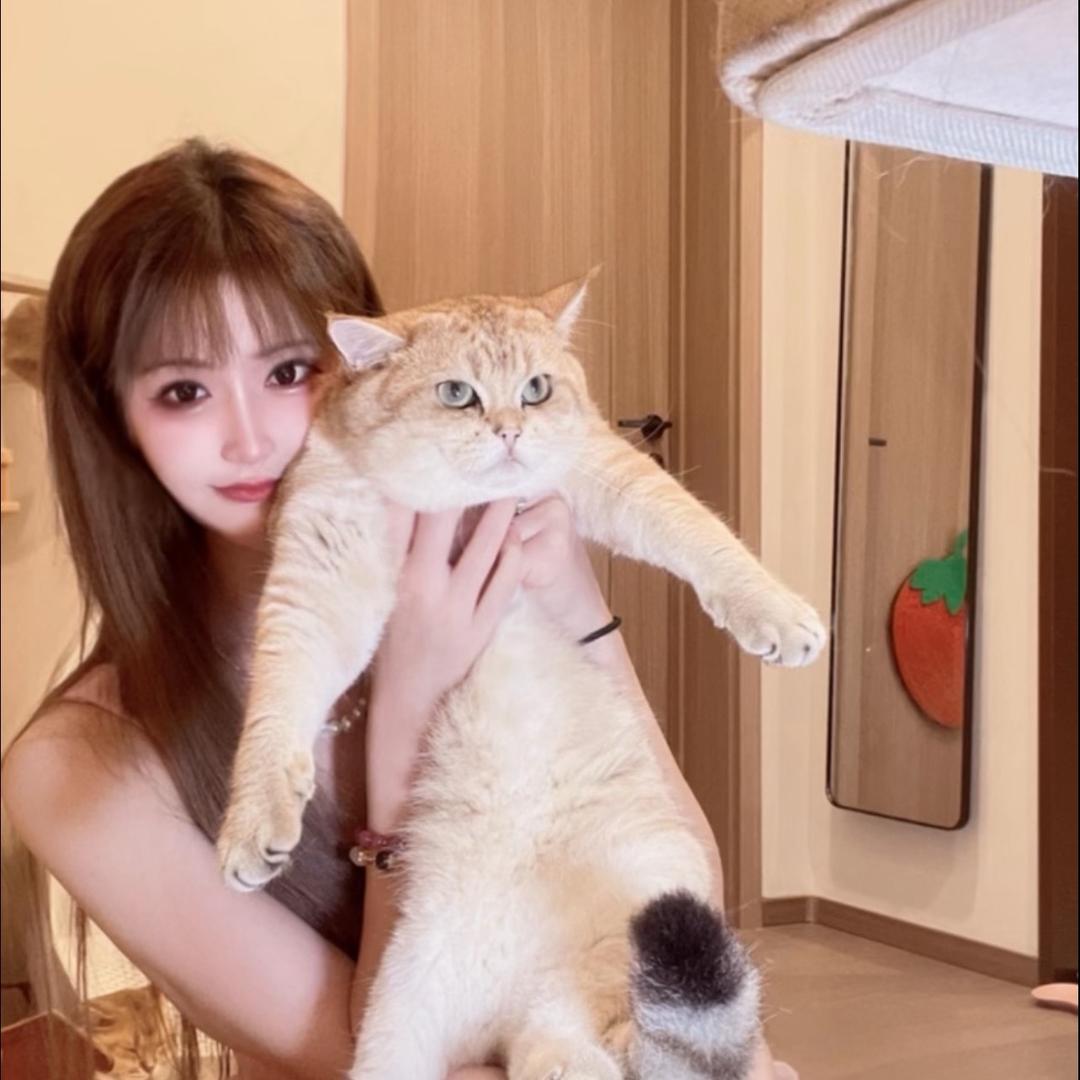 千千姑娘的猫