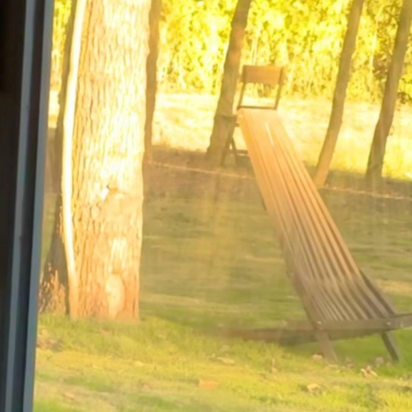 罗密欧与猪过夜