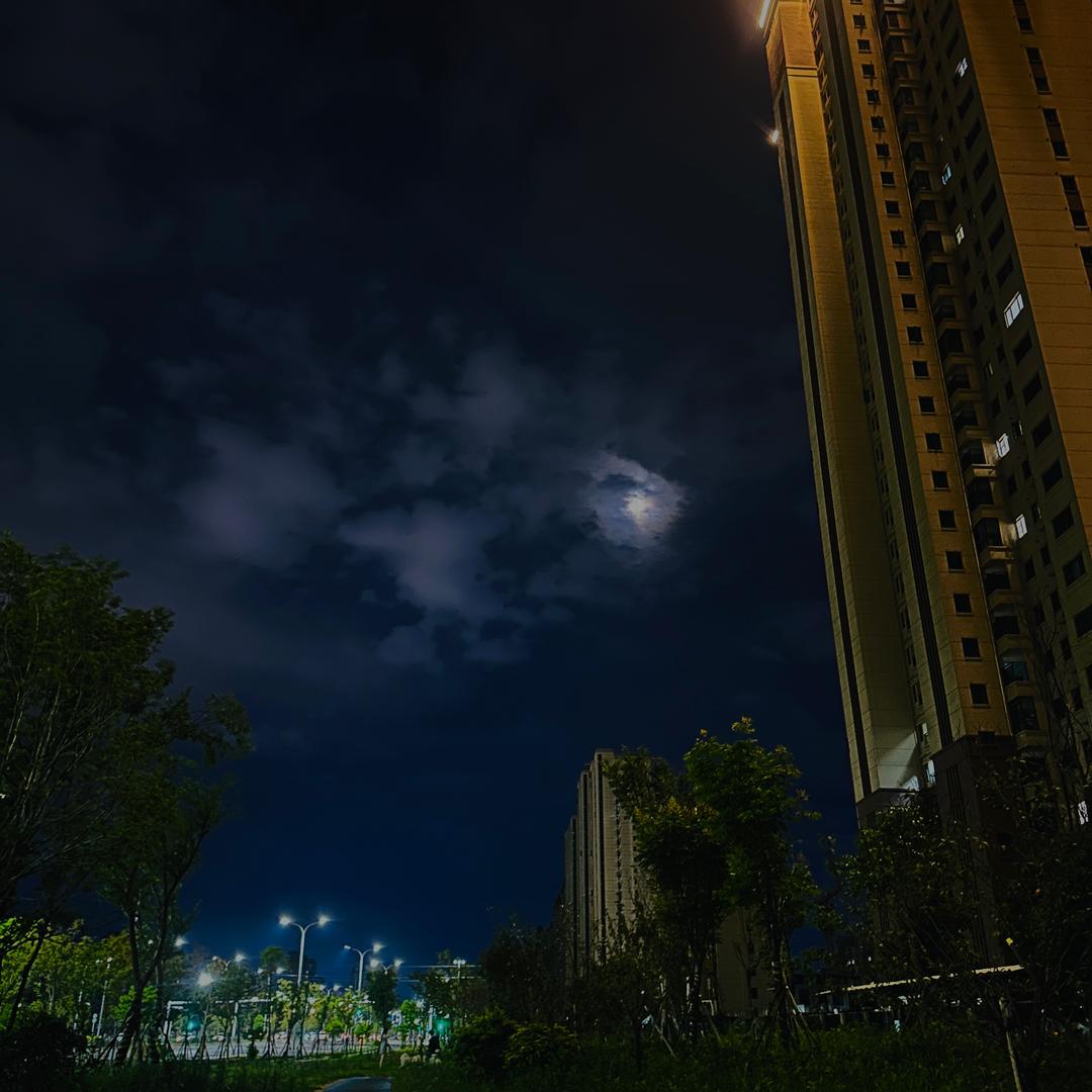 陈浩南