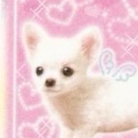 东瀛玉犬大将军