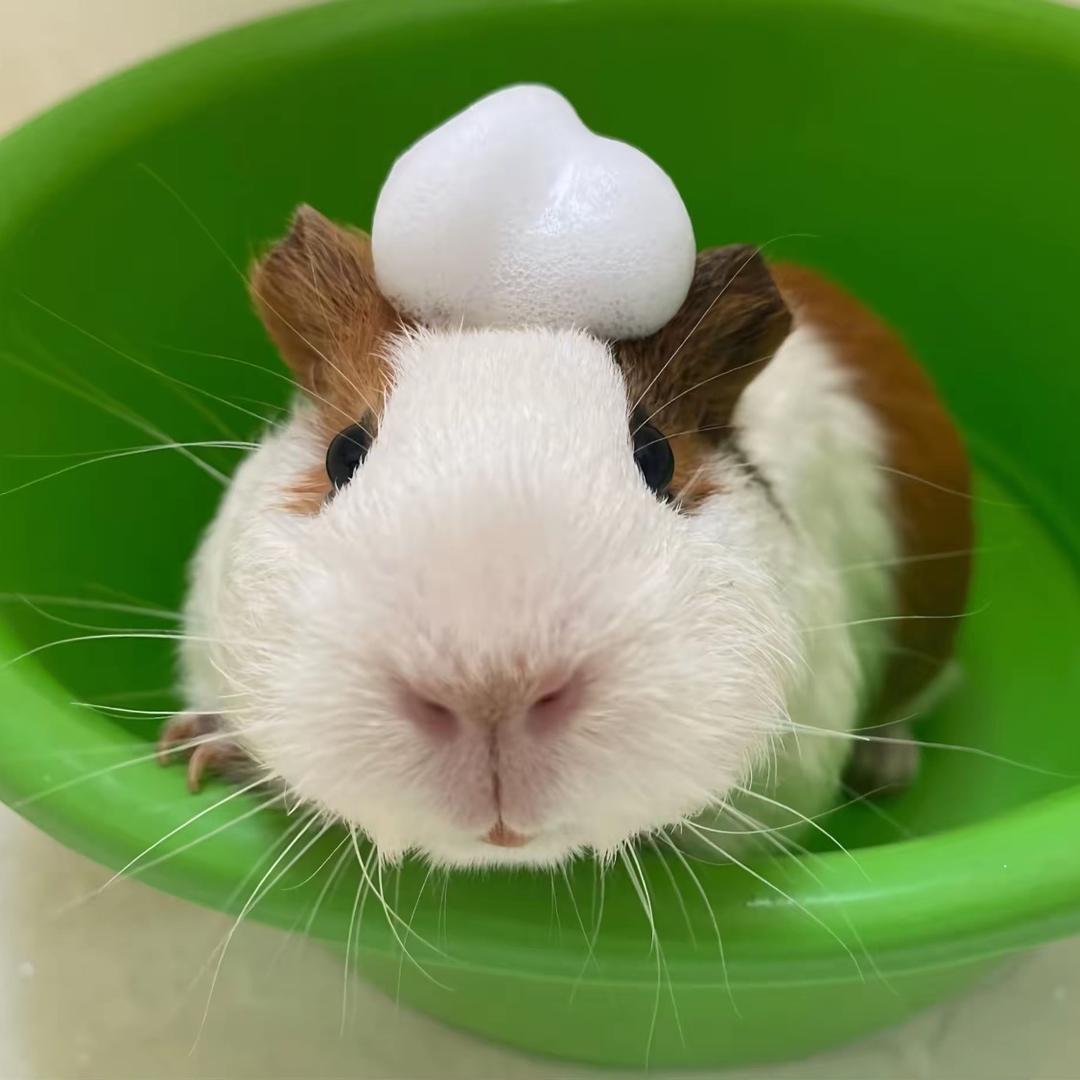 若不是你突然闯进我生活