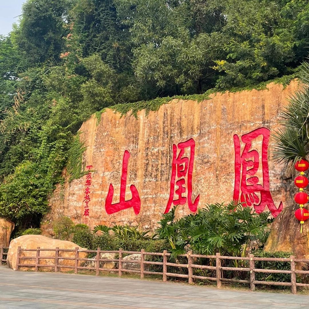 芳芳茶叶（高端茶礼 源头茶厂）