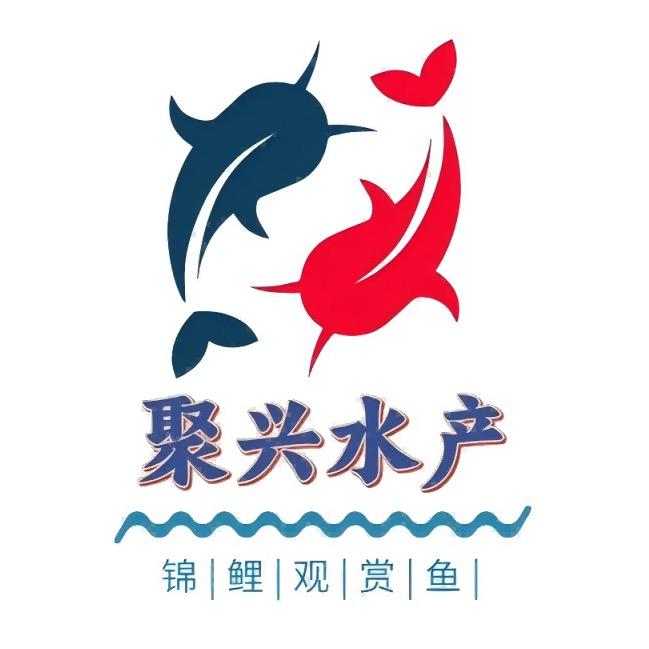 聚兴锦鲤