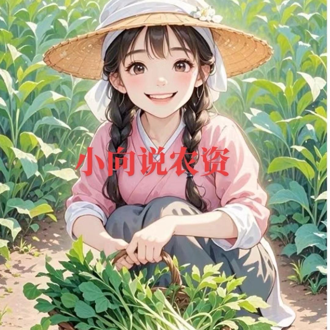 小向说农资