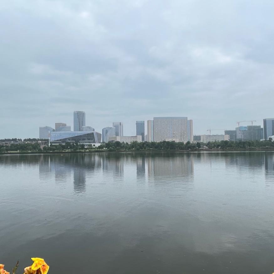 雾里看花