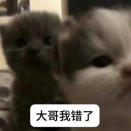 花如雪