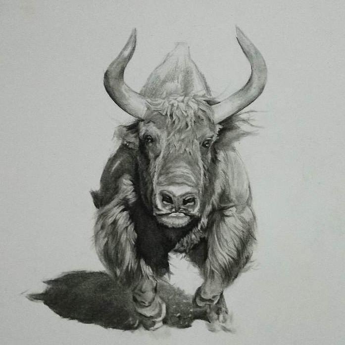 万宏肉类