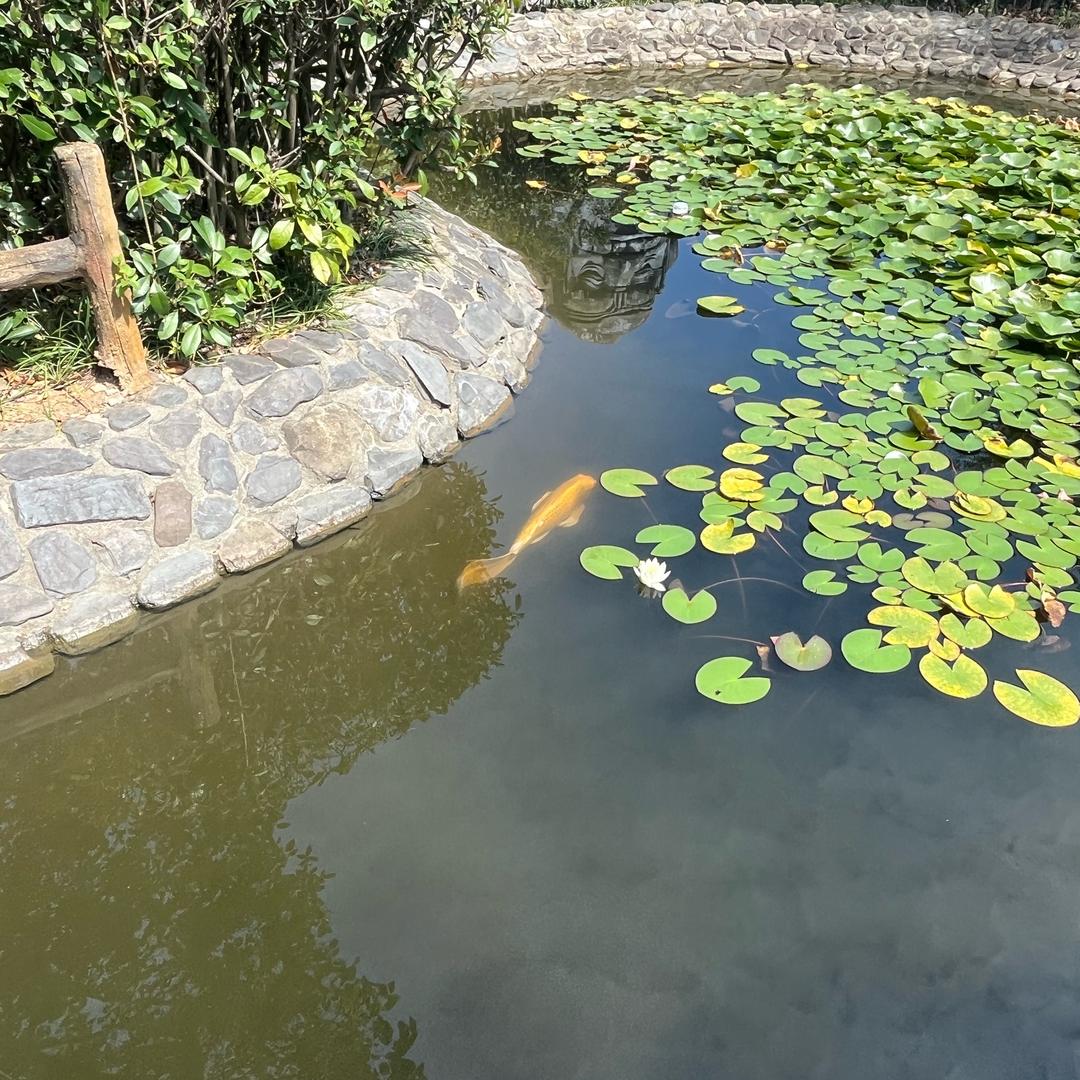 清风(♡ ὅ ◡ ὅ )ʃ♡