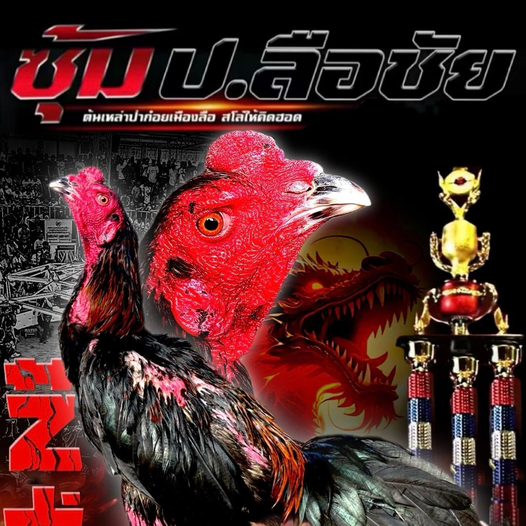 孟定武松战队🗡️盖傣