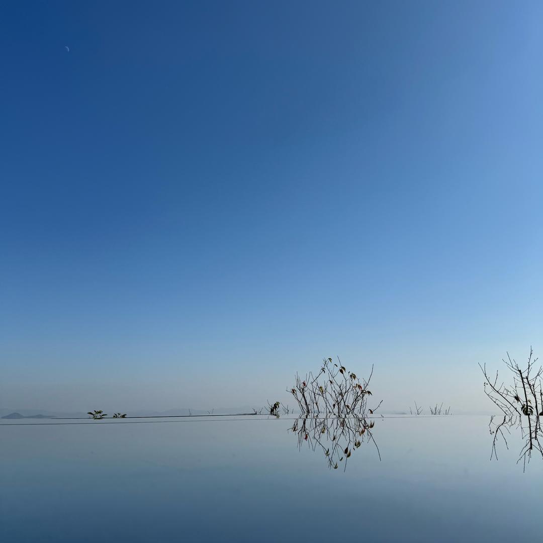 没有啊没有