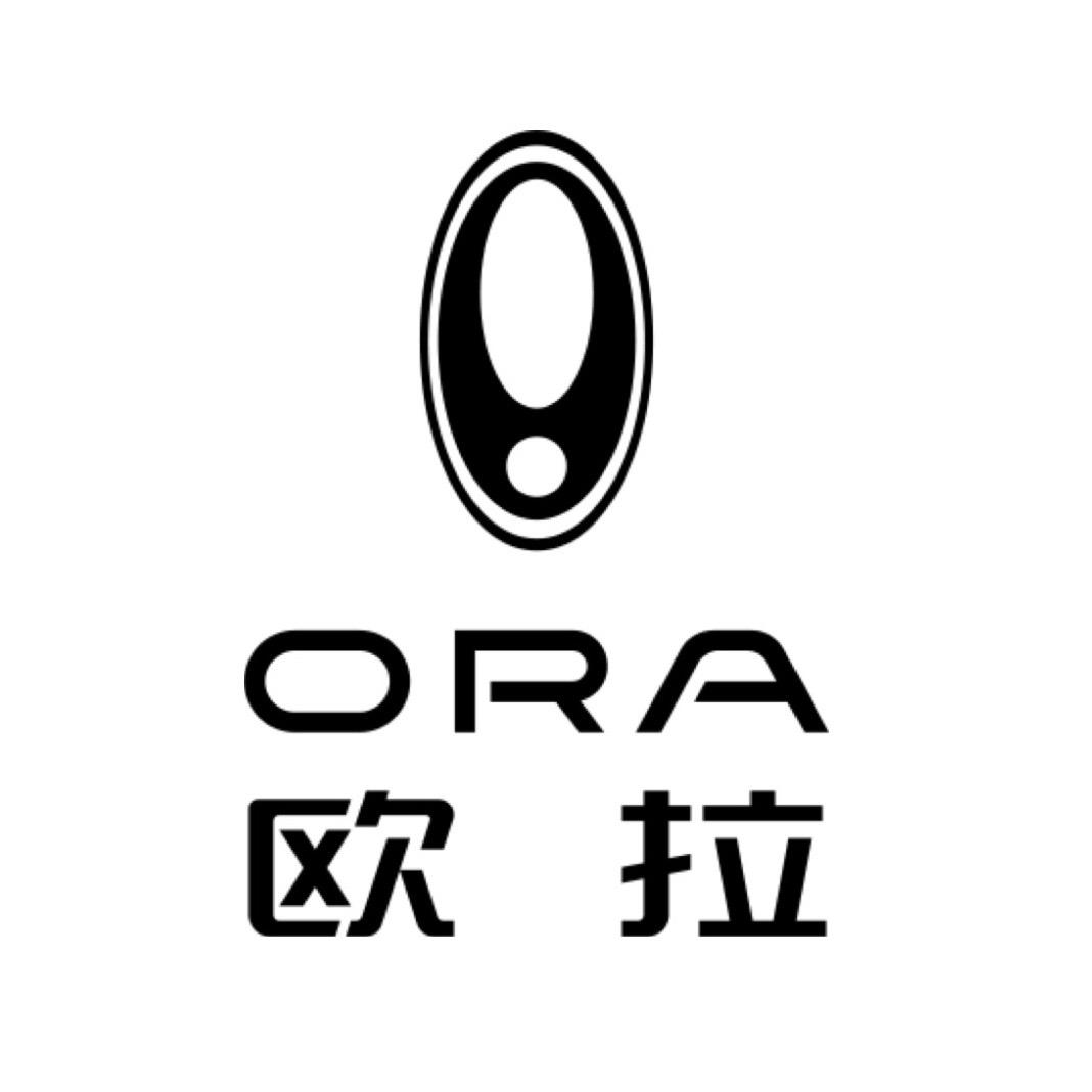 长城汽车欧拉台州新元通