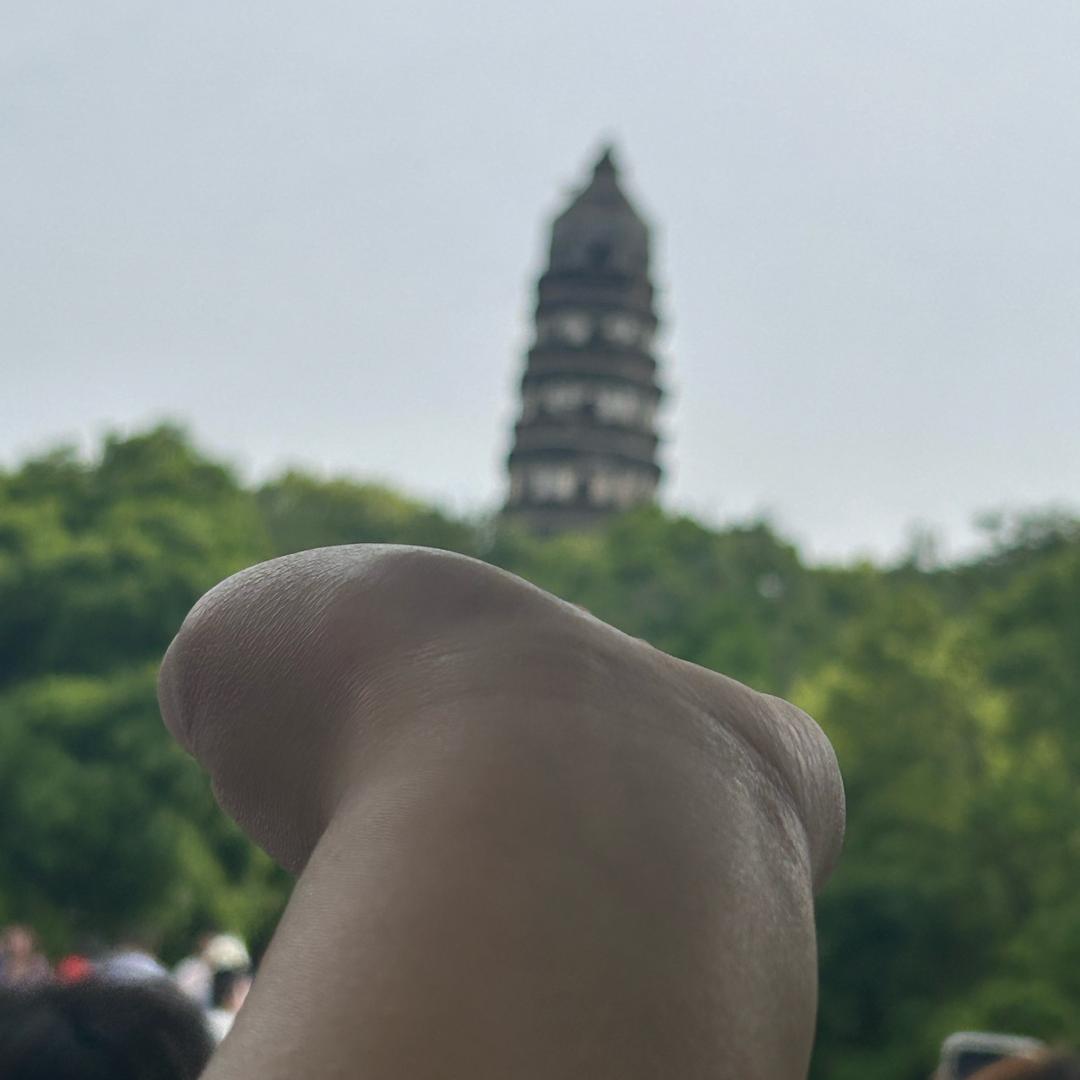 陈爽