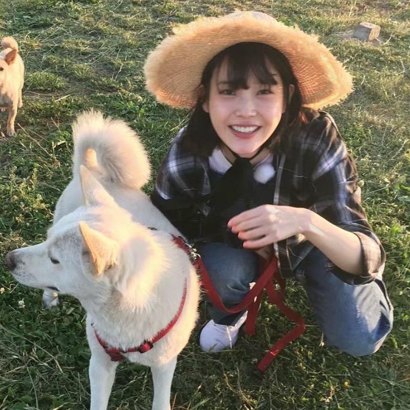 上课困成狗