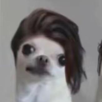 歪四七