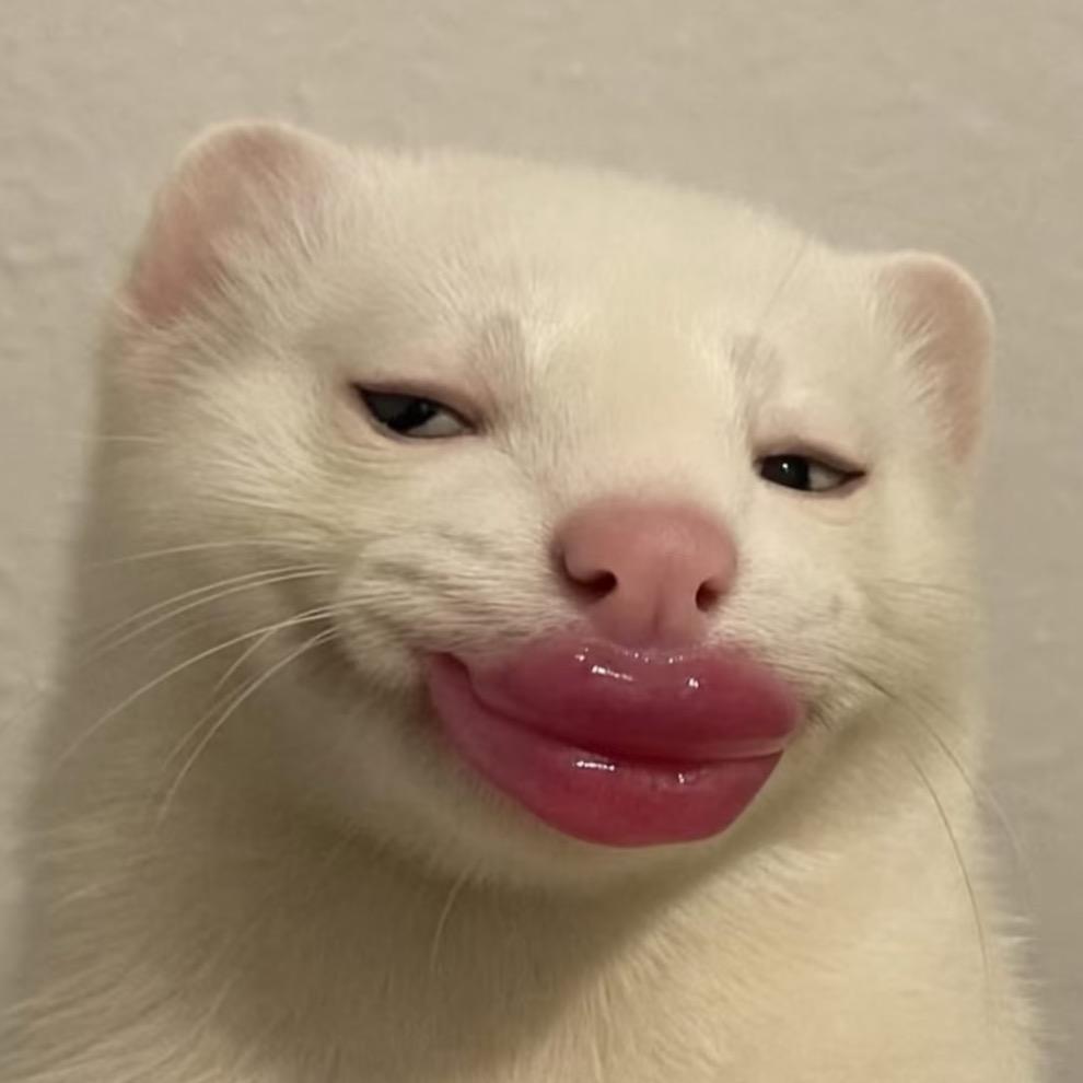 苞米该子