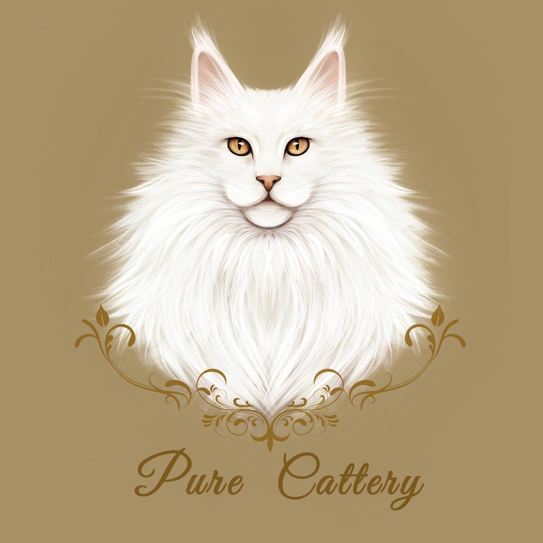 纯纯的Cattery