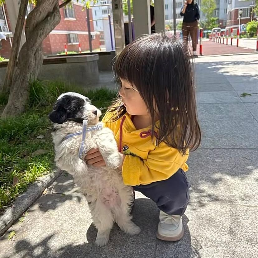 好运来拯救我