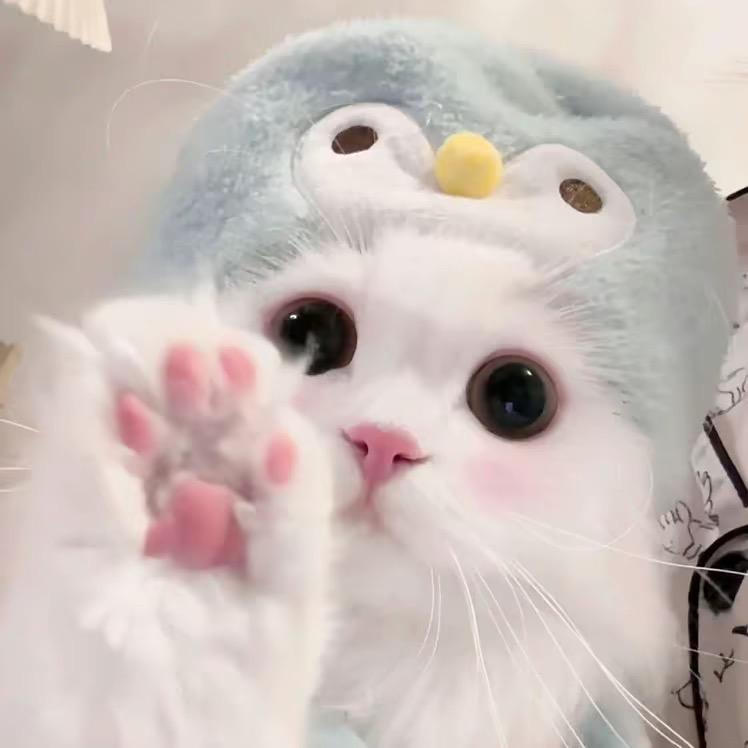 hui慧
