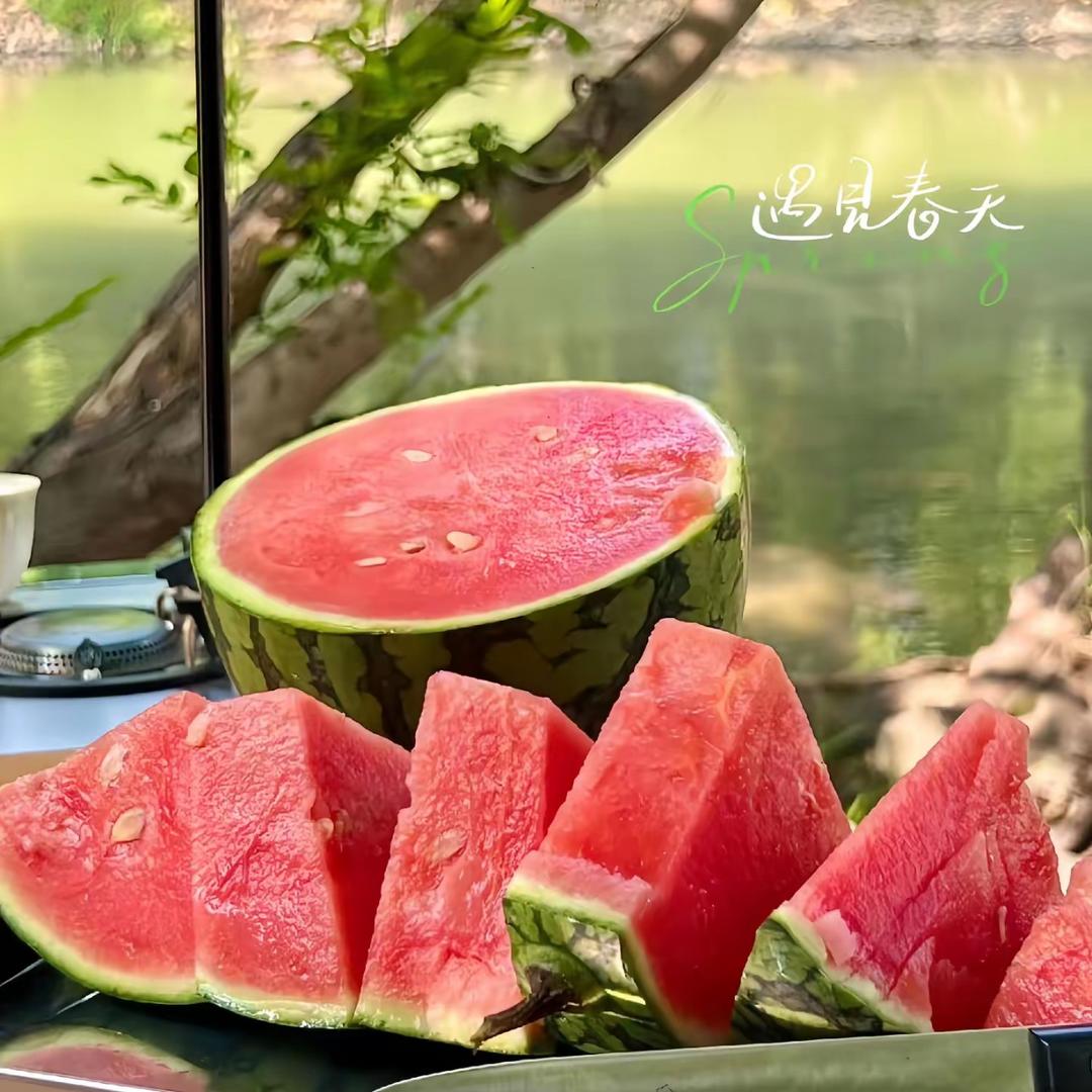 大白熊户外
