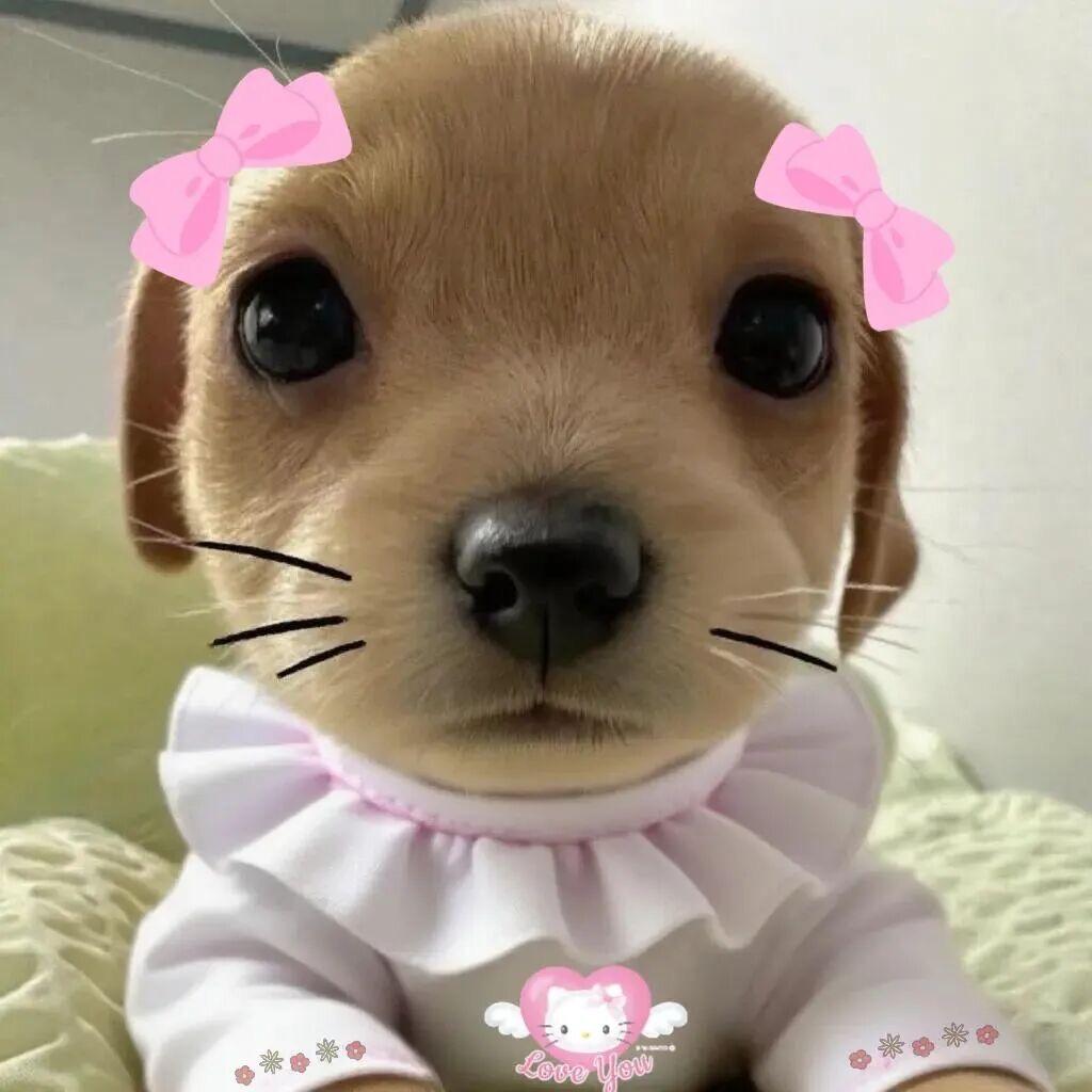 三月