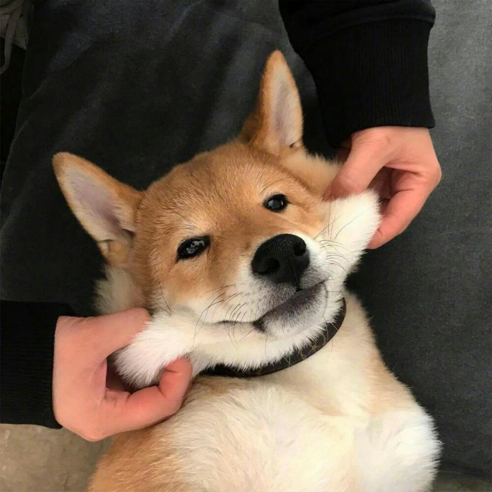 低调丶如初