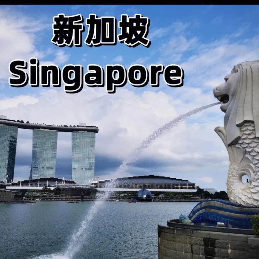新加坡留学一站式服务@抖音