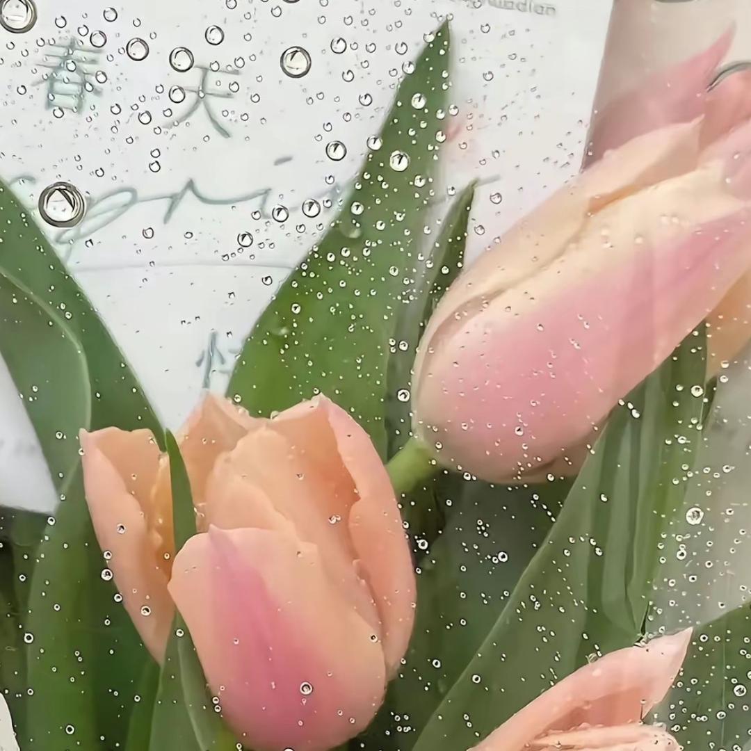 百集星甄选