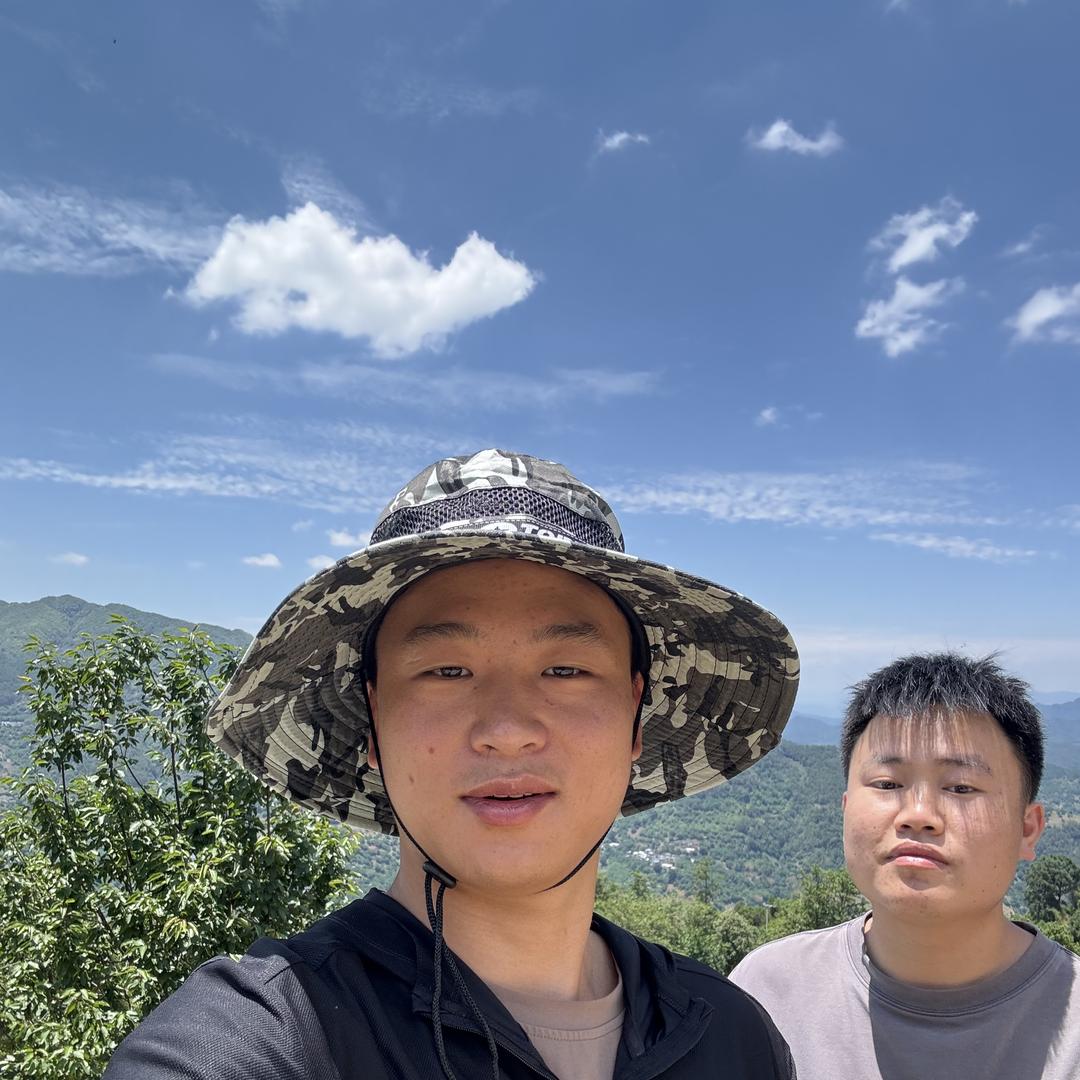 胖小帅的古树茶