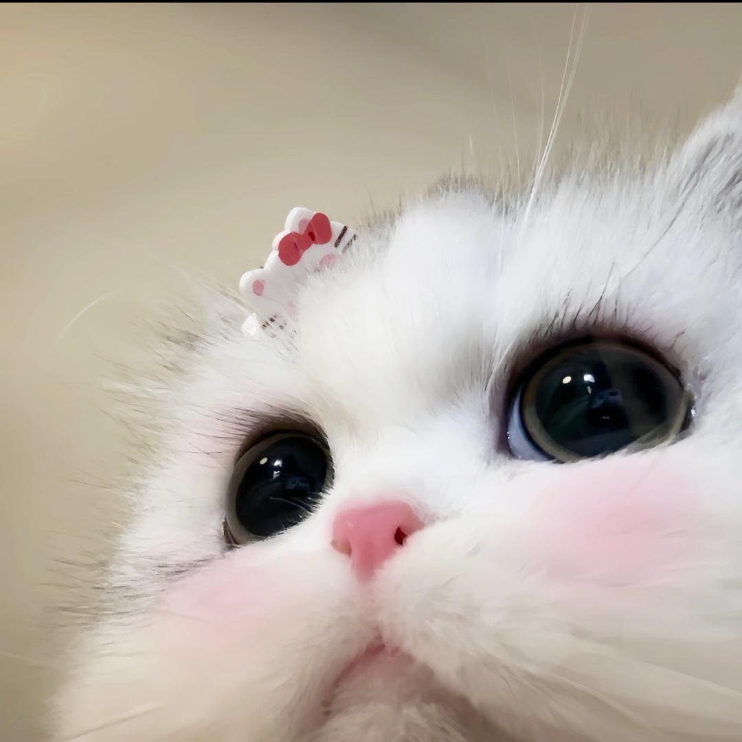 YY..